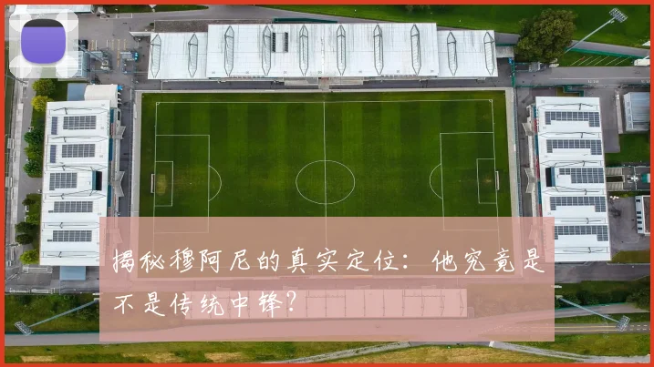 揭秘穆阿尼的真实定位:他究竟是不是传统中锋?