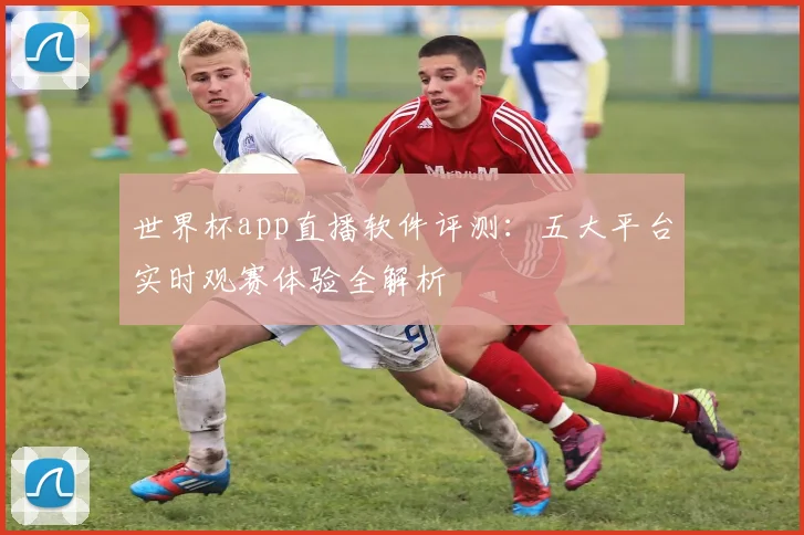 世界杯app直播软件评测：五大平台实时观赛体验全解析