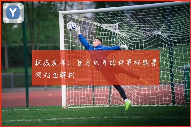权威发布：官方认可的世界杯购票网站全解析