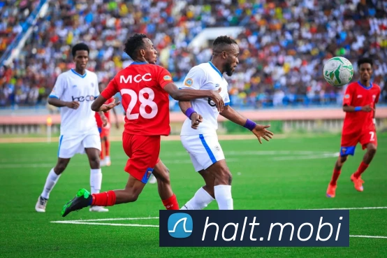 mksports在线登录入口平台生态图