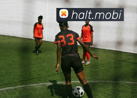 mksports在线登录入口全站App